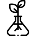 החממה החברתית